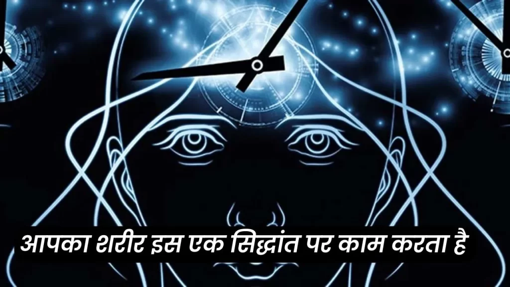 Biological clock and how it regulate body main function 2 Biological Clock