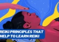 What are the Reiki principles