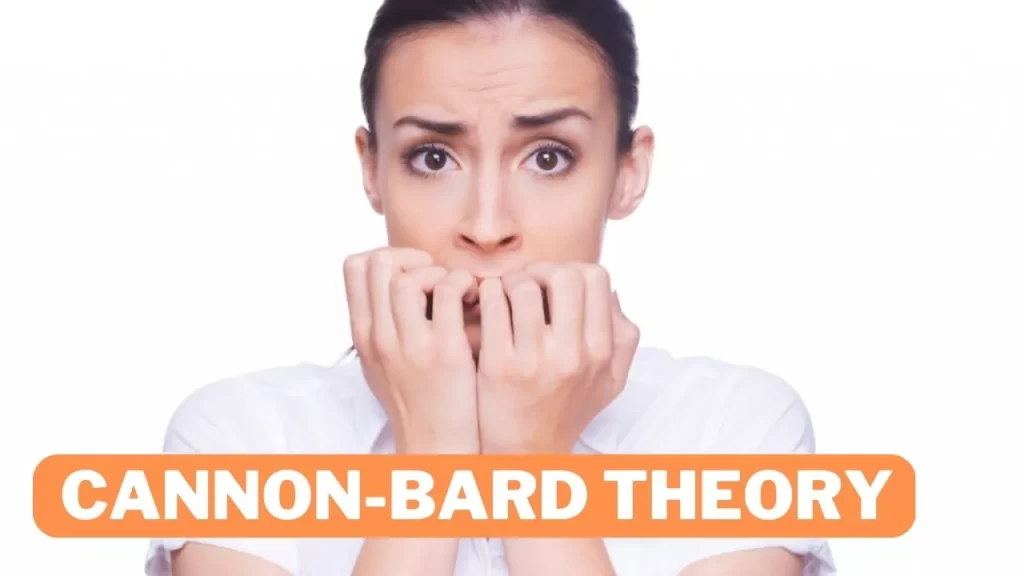 How Cannon-Bard Theory works in Hindi definition, example and Criticisms 8 Cannon-Bard Theory