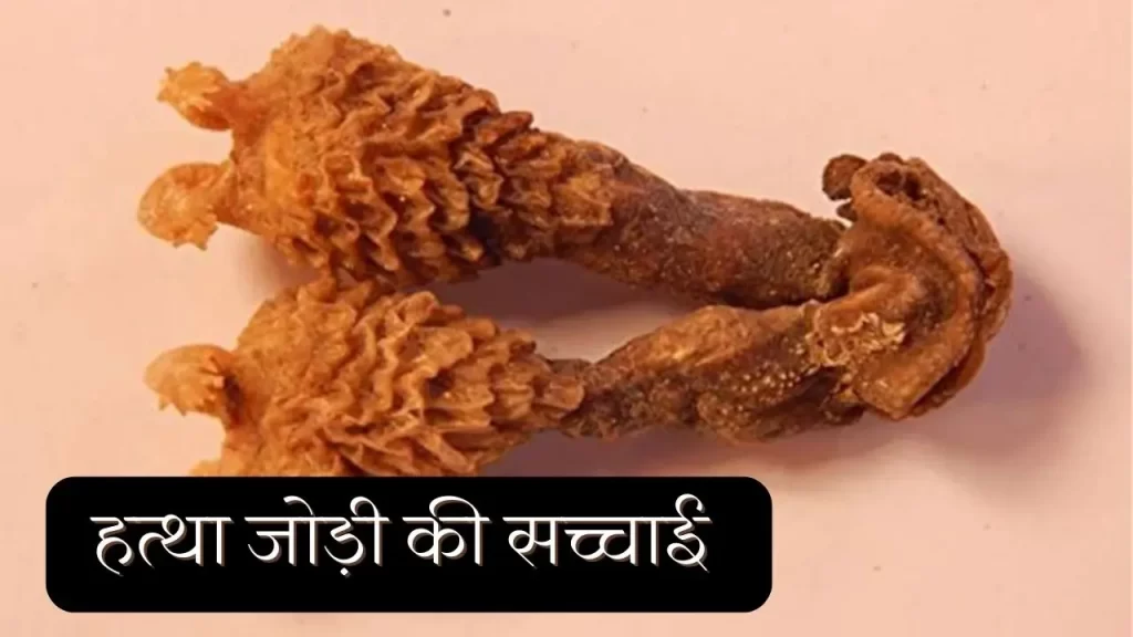 हत्था जोड़ी की सच्चाई वास्तव में ये क्या होती है