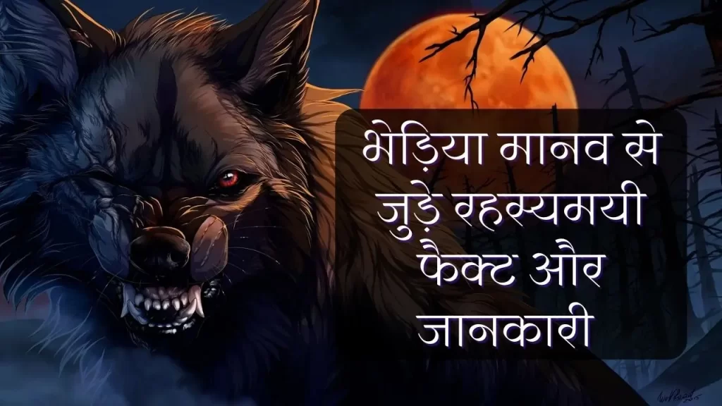 भेड़िया मानव से जुड़े रहस्यमयी फैक्ट और दुनिया भर में उनके देखे जाने की सच्ची घटनाए 6 Werewolves’ mystery and history in Hindi