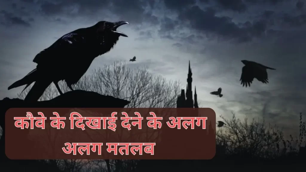 10 Crow cawing superstition and their hidden meaning everything you must know 4 Crow cawing superstition
