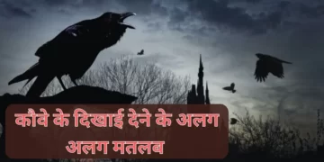 Crow cawing superstition