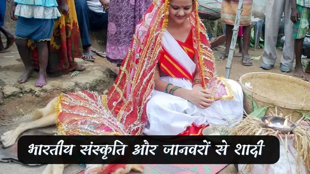 क्या आप जानते है क्यो की जाती है भारत में जानवर और पेड़ के साथ शादी -अन्धविश्वास या कुछ और 4 पीपल के पेड़ से शादी करने से मांगलिक दोष का हटना
