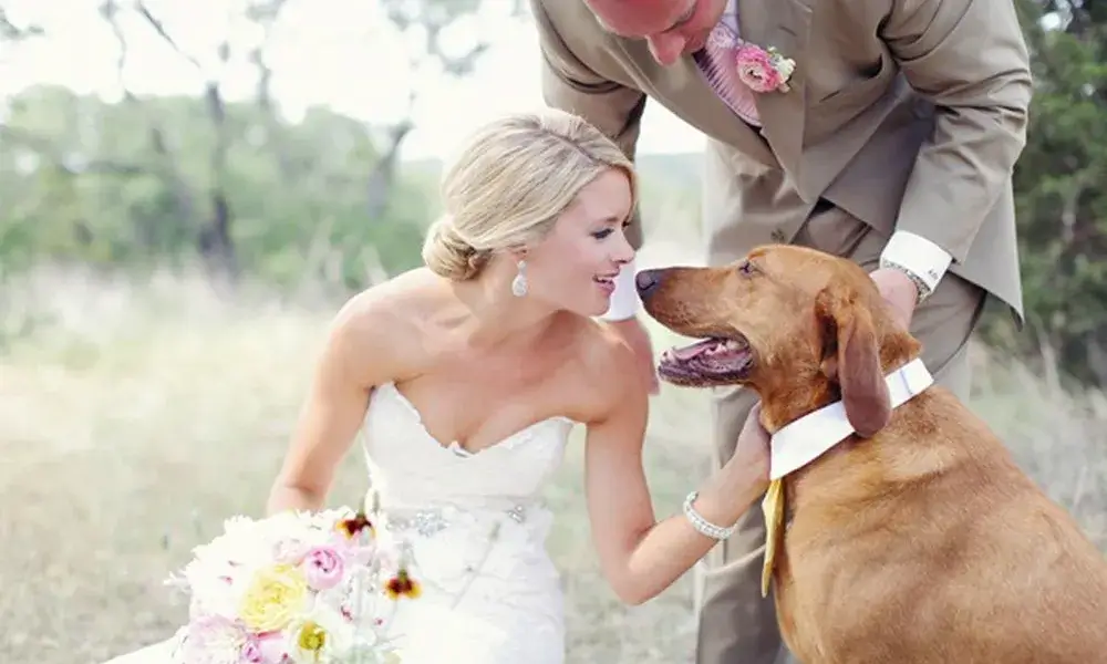 women marry with dog