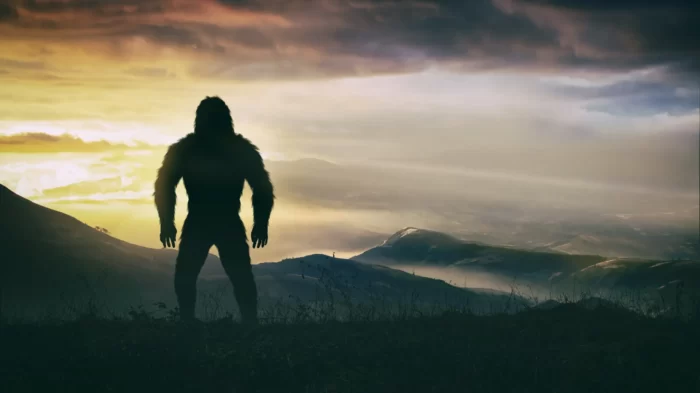 There is No Physical Evidence of Bigfoot